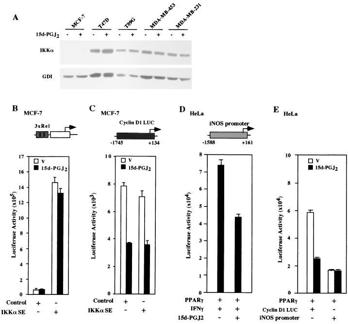 FIG. 9