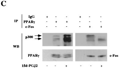 FIG. 7