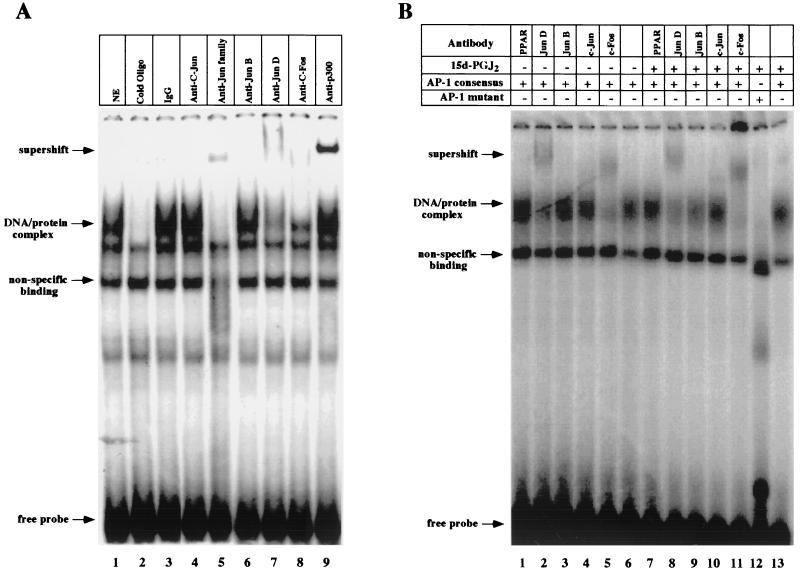 FIG. 7