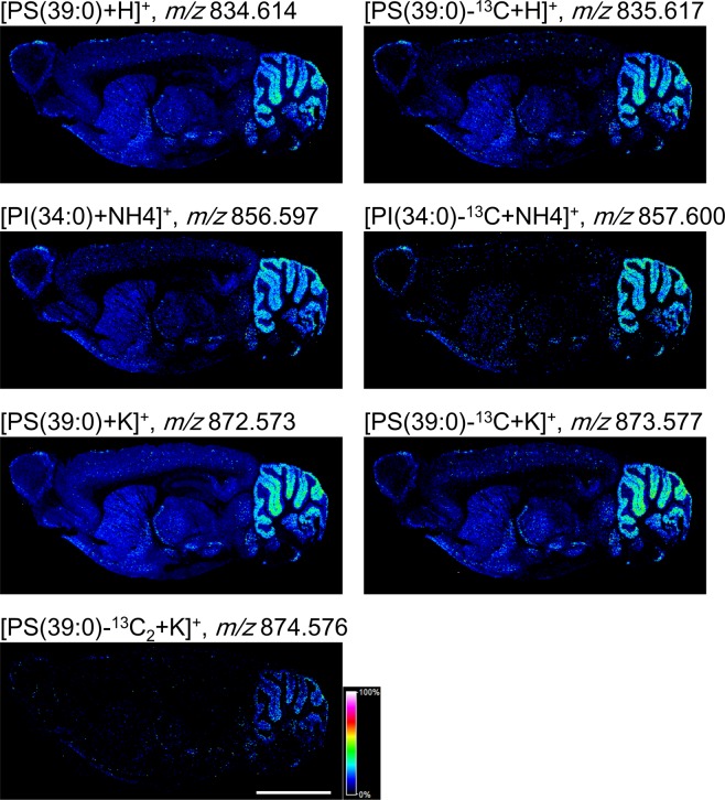 Figure 6