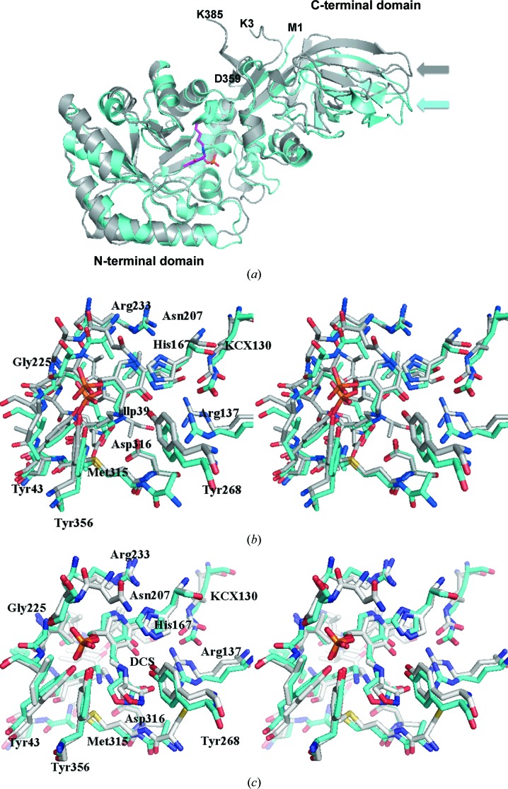 Figure 7