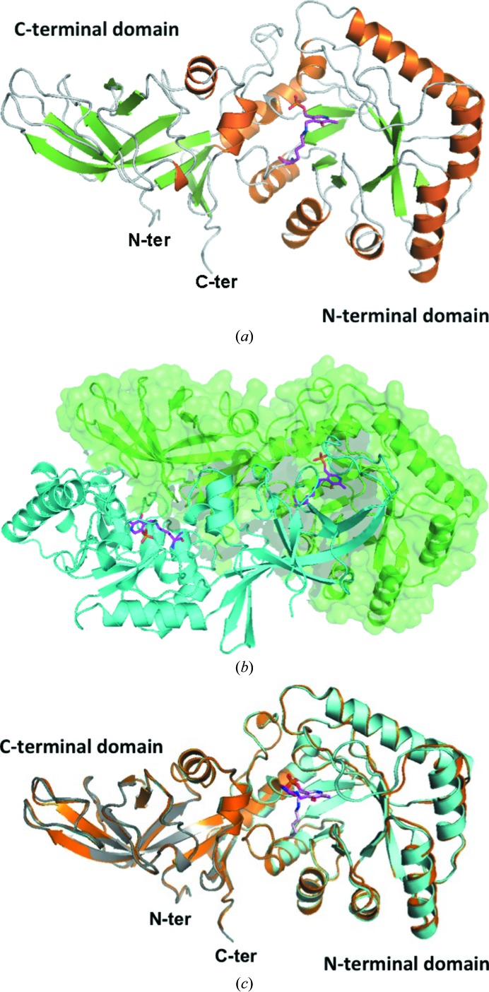 Figure 4