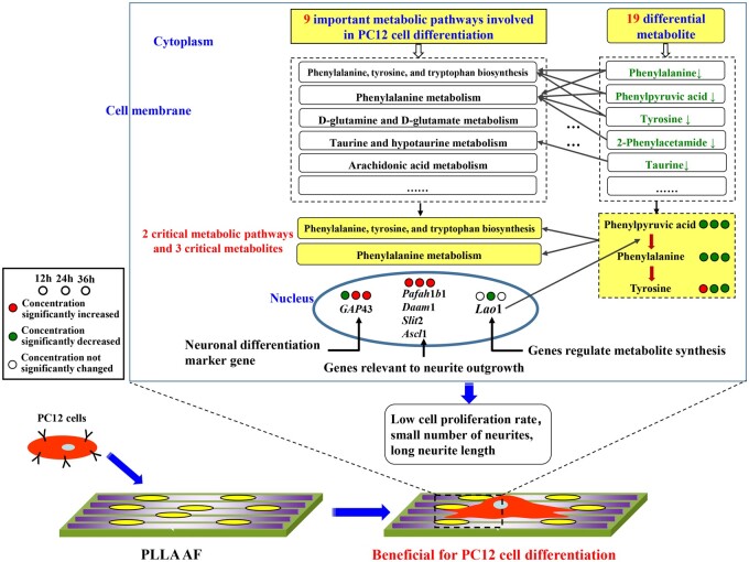 Figure 12.