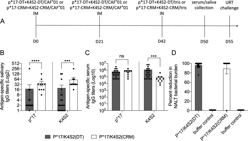 FIG 1