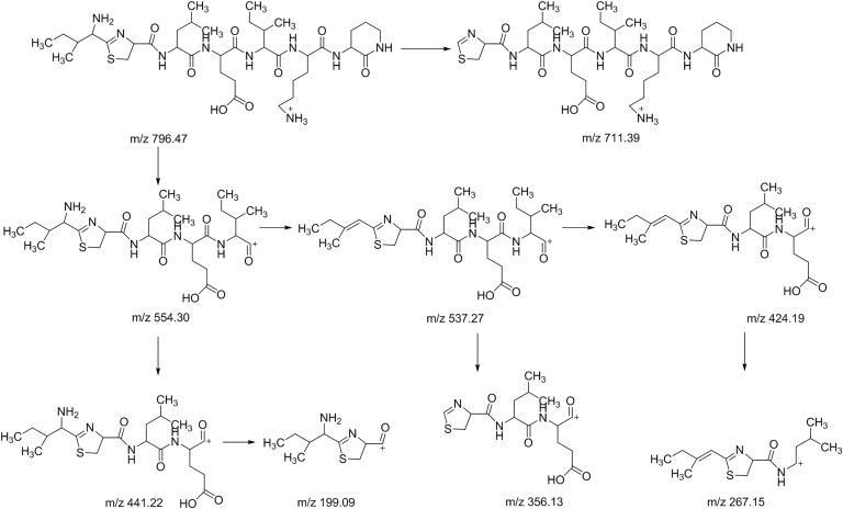 Fig. 8.