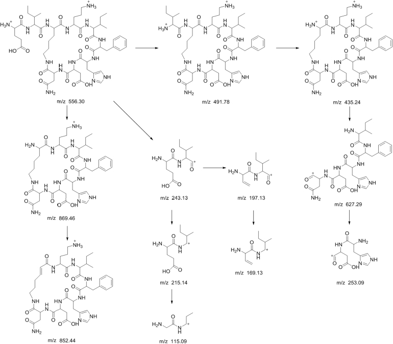 Fig. 6.