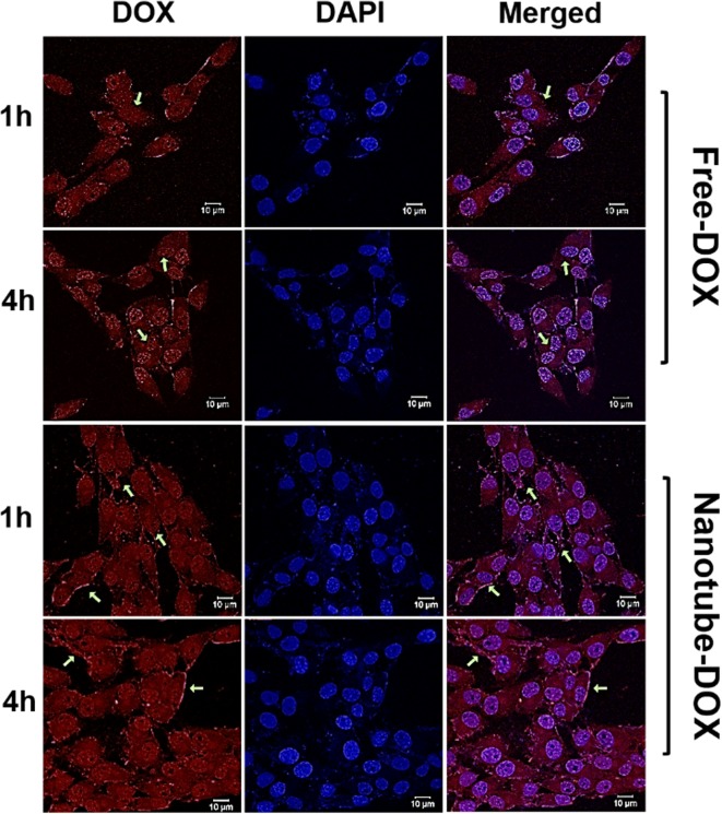 Fig. 7