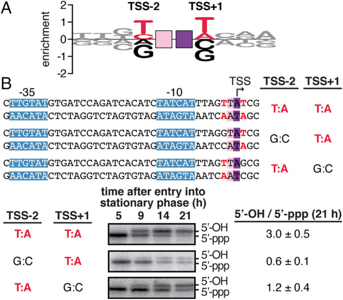 Fig. 6.