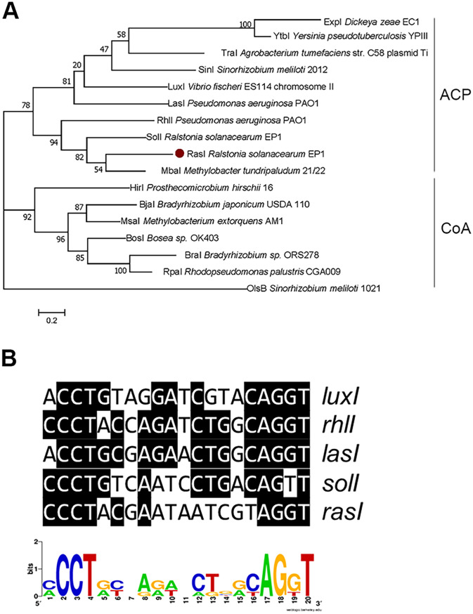 FIG 1