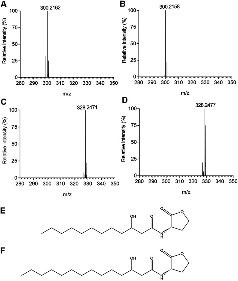 FIG 3