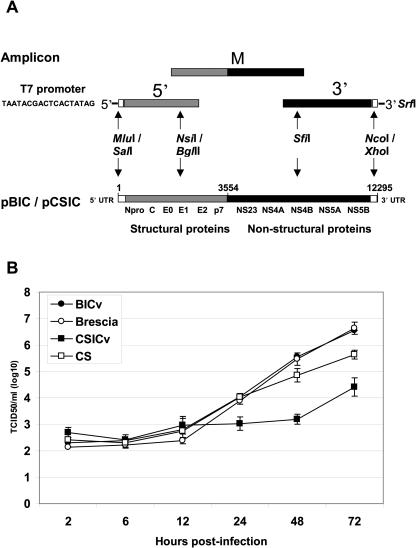 FIG. 1.