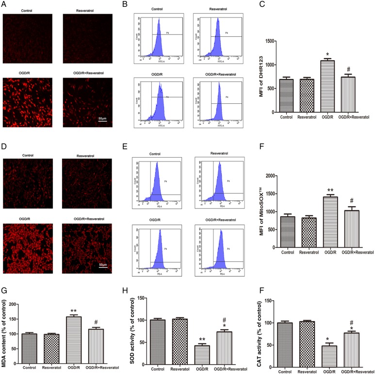 Figure 2.