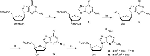 Scheme 3