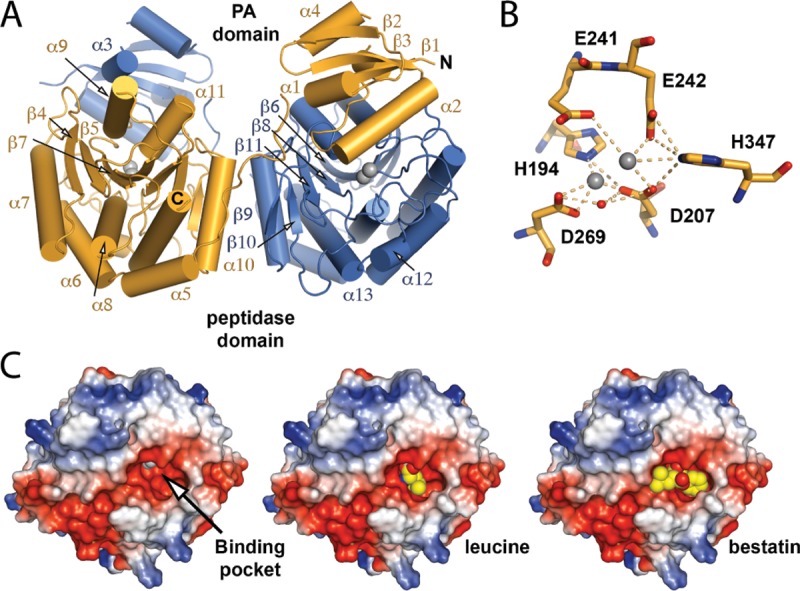 FIG 6 