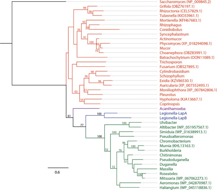 FIG 10 