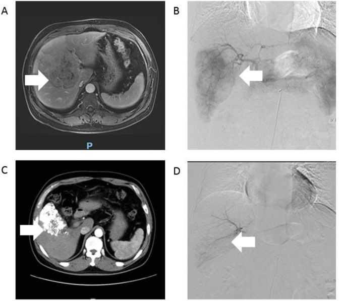 Fig. 4