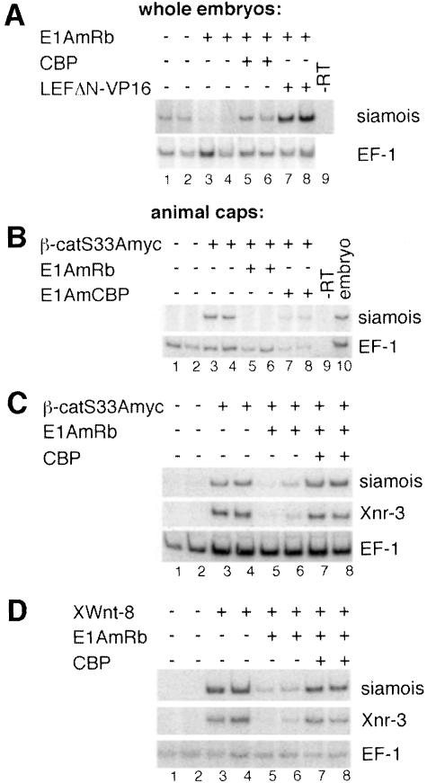 graphic file with name cdd208f7.jpg