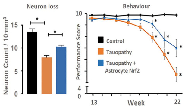 Figure 2B.