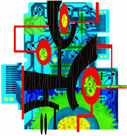 graphic file with name complx01.f2.jpg