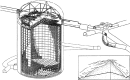 Fig. 12