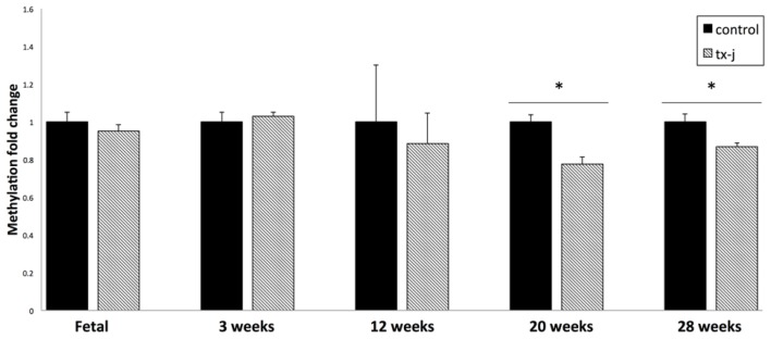 Figure 5.