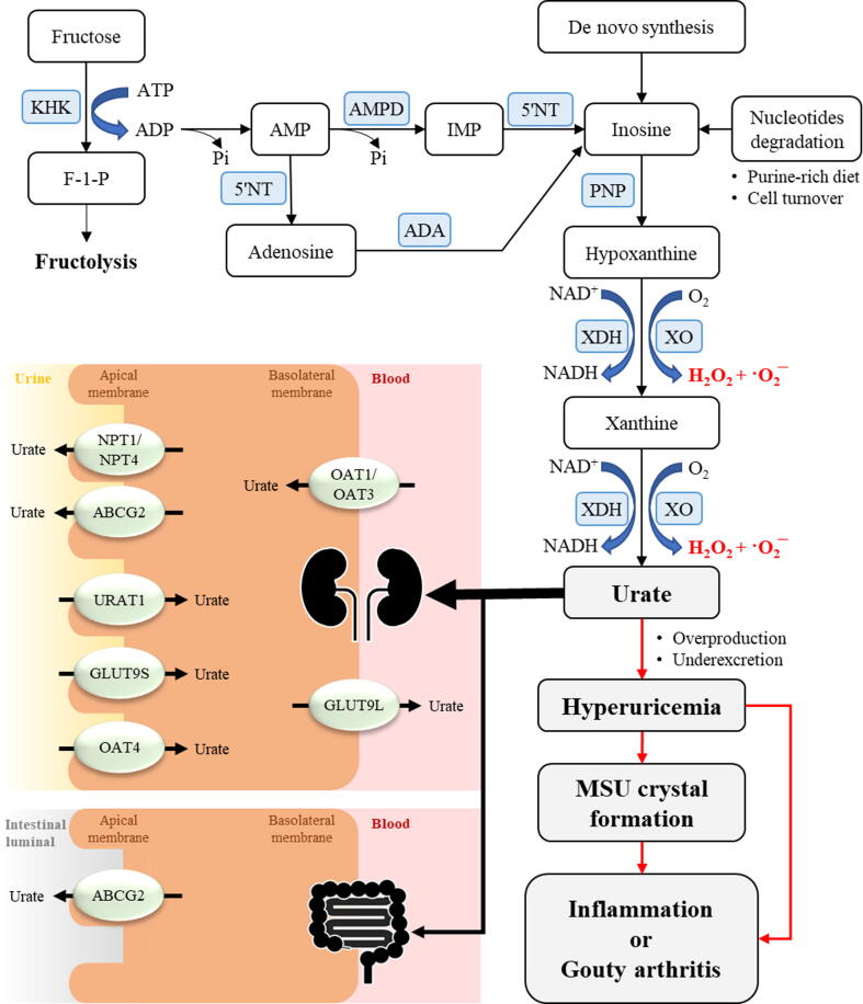 Fig. 2