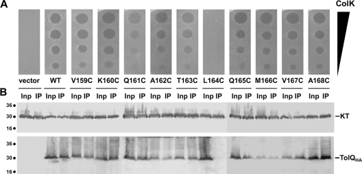 FIG. 6.