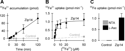 Fig. 3.