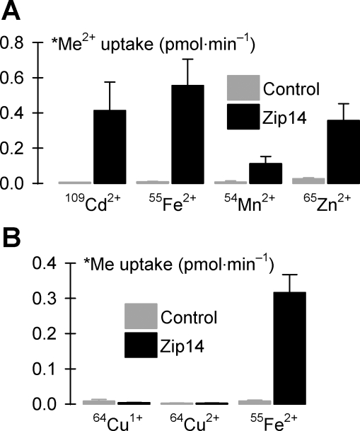 Fig. 7.