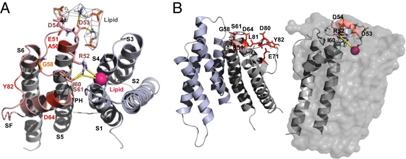 Fig. 5.