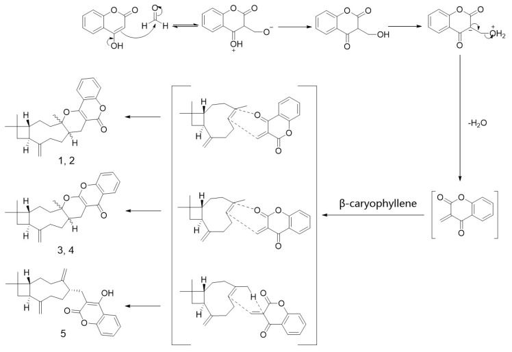 Scheme 3