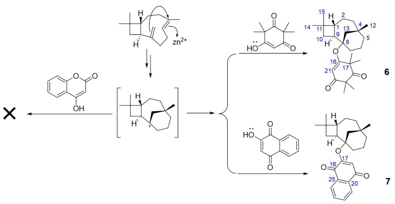 Scheme 4