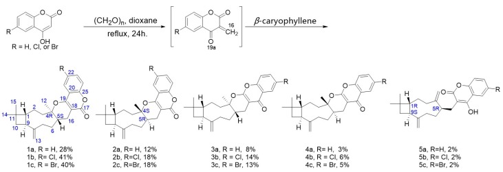 Scheme 2