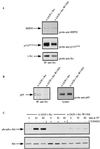 FIG. 9