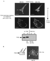 FIG. 8