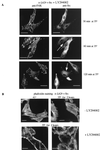 FIG. 10