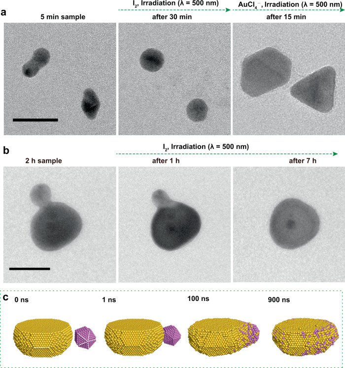 Fig. 4