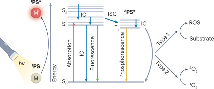 Fig. 5