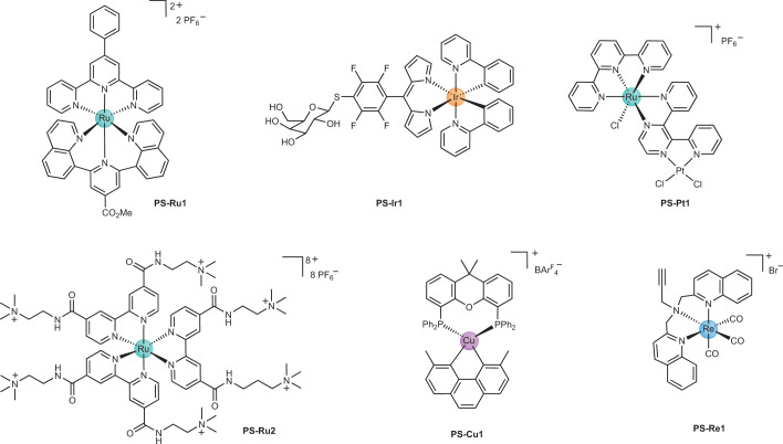 Fig. 7