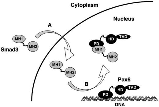 Figure 6.