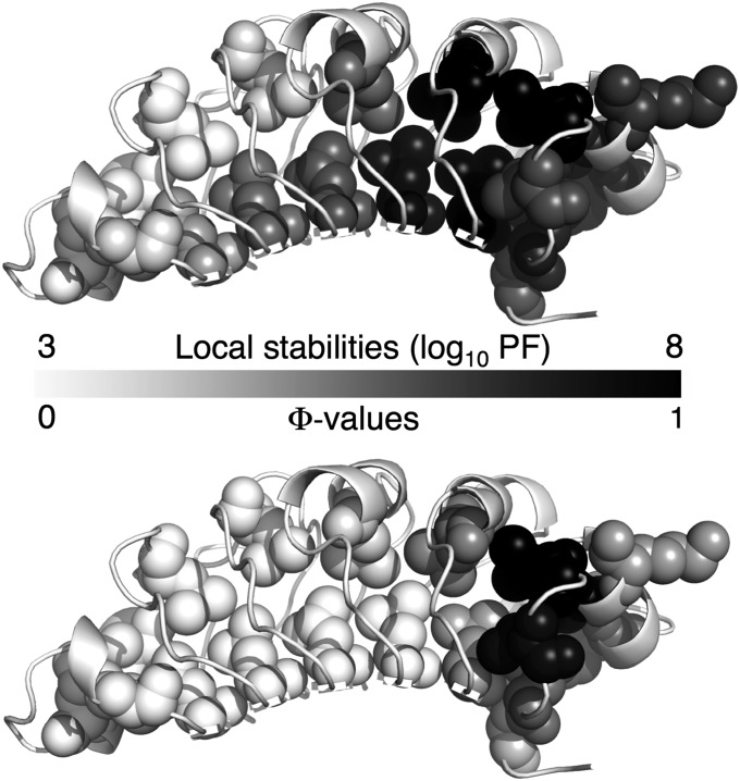 Fig. 7.