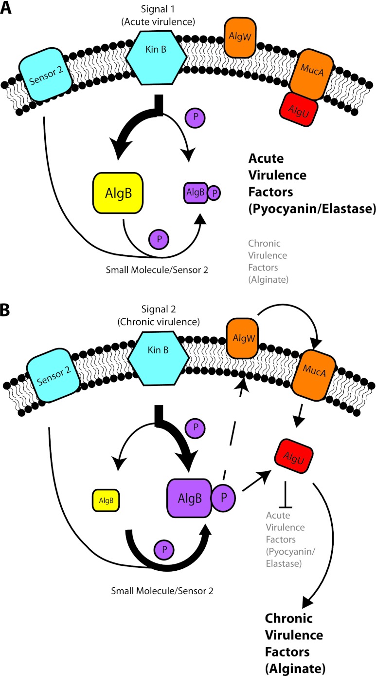 Fig 8