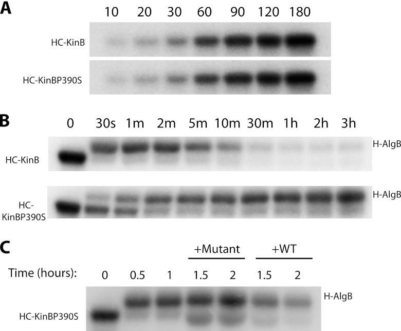 Fig 6