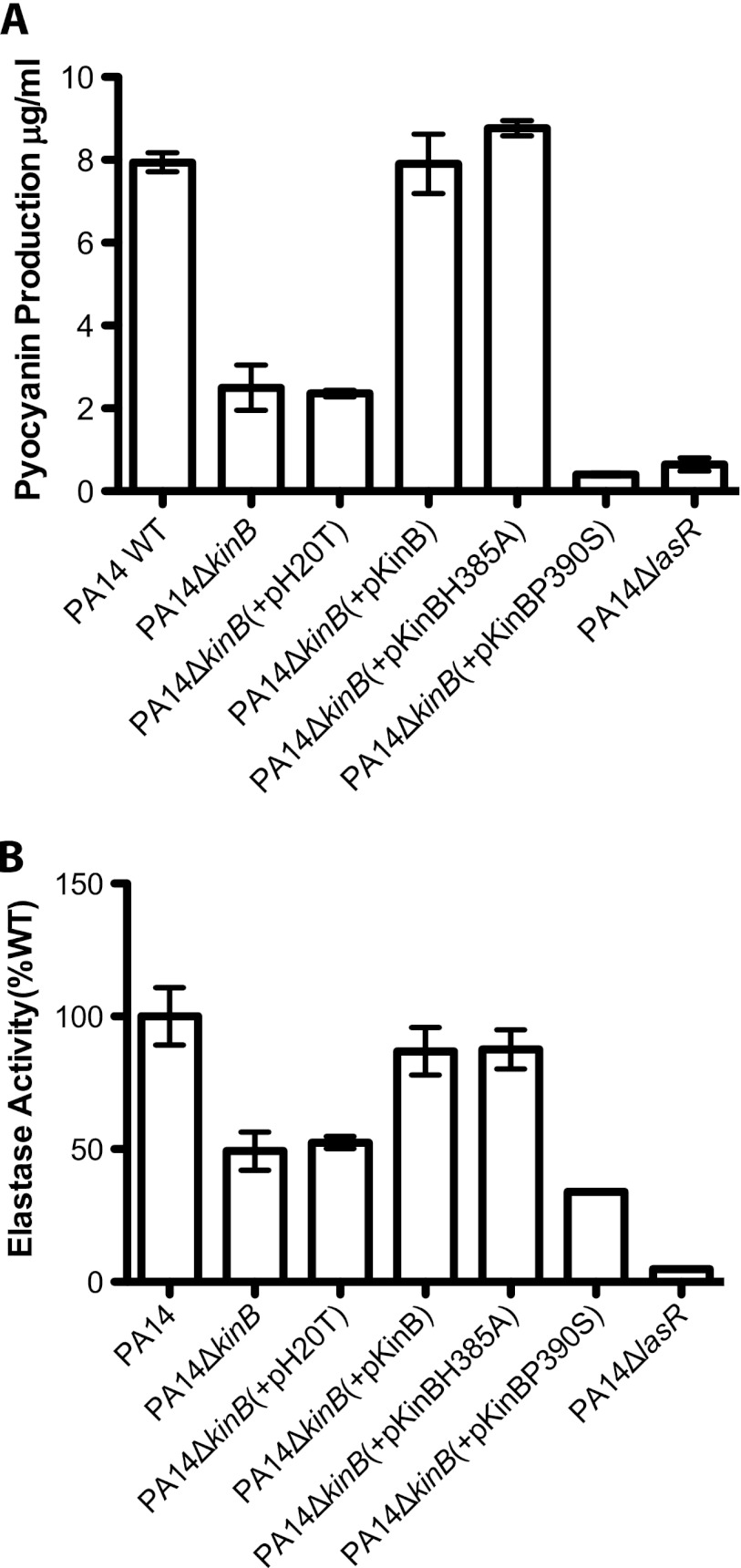 Fig 5