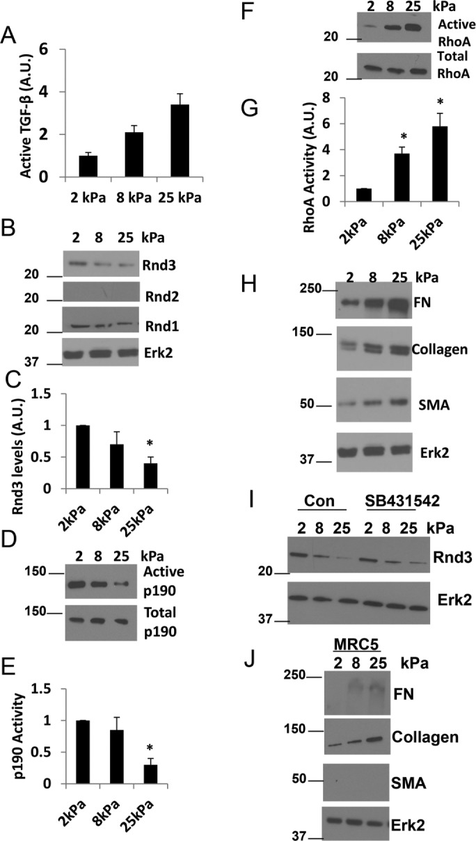 FIGURE 7: