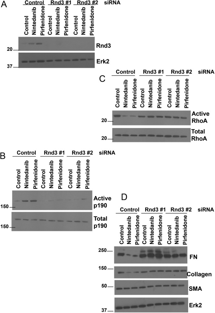 FIGURE 10: