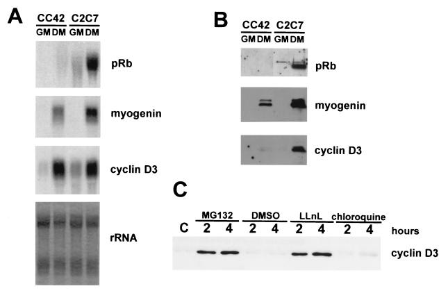 FIG. 8