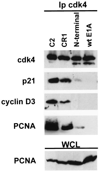 FIG. 7