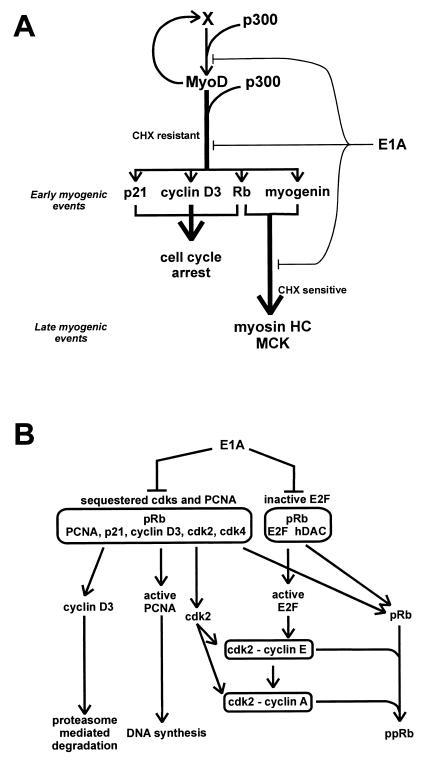 FIG. 10