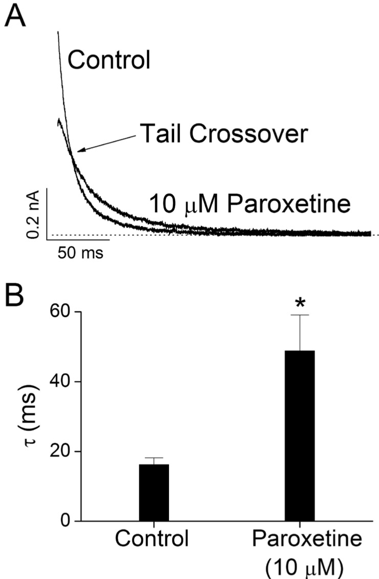 Fig. 5